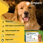 Cão golden retriever sorrindo ao lado da caixa verde de Simparic.