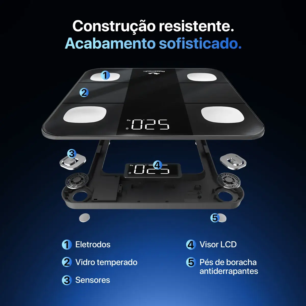 Tela do Aplicativo Fitdays Mostrando Gráficos de Saúde