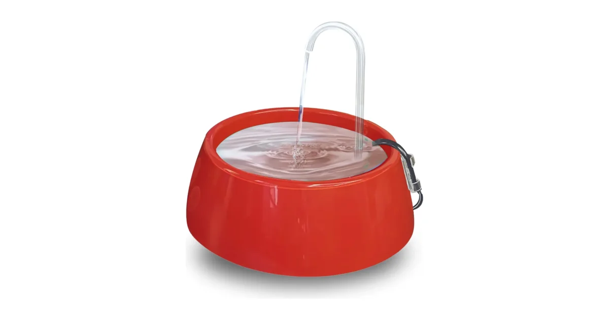 Bebedouro Fonte Automática para Cães e Gatos: Review Completo e Teste Real