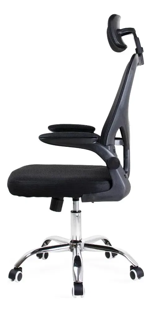 Perfil lateral mostrando curvatura lombar