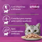 Gato cinza olhando para Whiskas Pedaços Frango em prato.