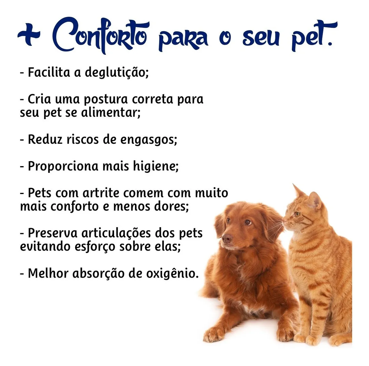 Infográfico de benefícios: Conforto, Higiene e Postura Correta