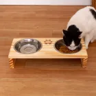 Gato preto e branco come ração em comedouro elevado de madeira pinus.