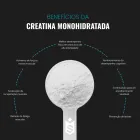 Scoop branco com pó branco de Creatina Monohidratada