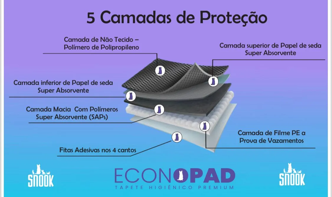 Infográfico das camadas com carvão