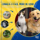 Gato tricolor e cachorro dourado sentados no sofá, Petyc Educador Sanitário.