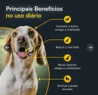 Cão marrom e branco sorrindo com texto de benefícios Longevi Tabletes