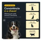 Cão preto, branco e marrom com tabela de dosagem Longevi Tabletes para cães.