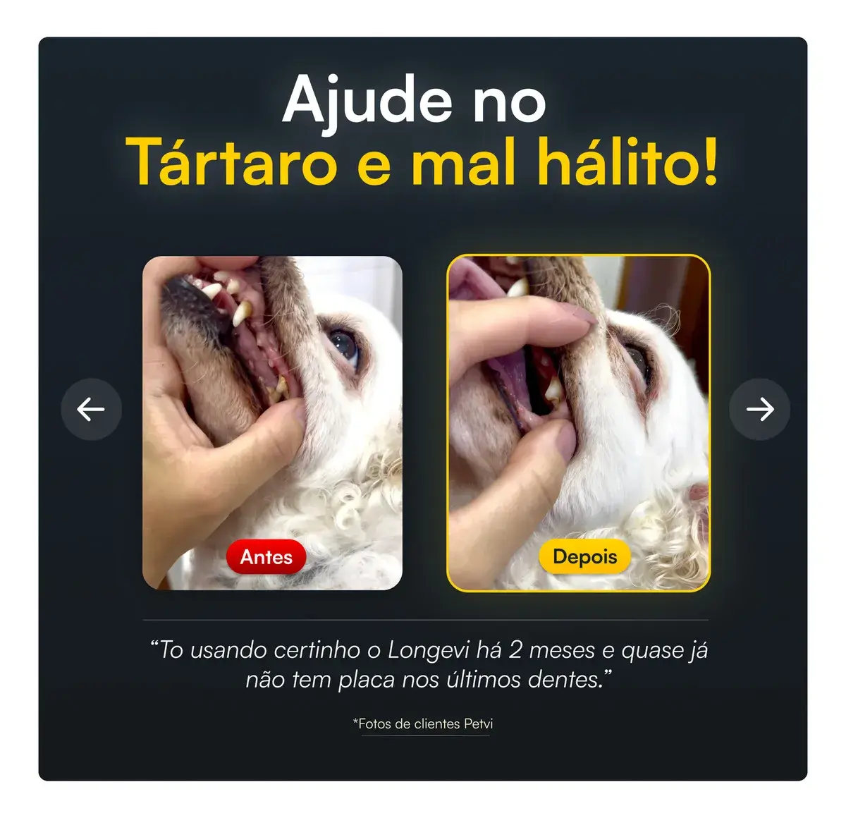 Antes e depois do tártaro canino