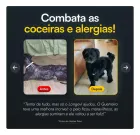 Cão preto antes e depois, pelo melhorado com Longevi Tabletes