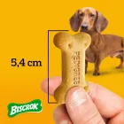 Mão segura petisco Pedigree Biscrok osso marrom 5,4 cm, cão ao fundo.