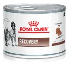 Lata branca de Royal Canin Recovery com logo, cão e gato.