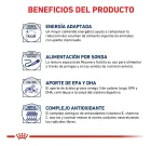 Benefícios do Recovery Alimento com texto e ícones em fundo branco