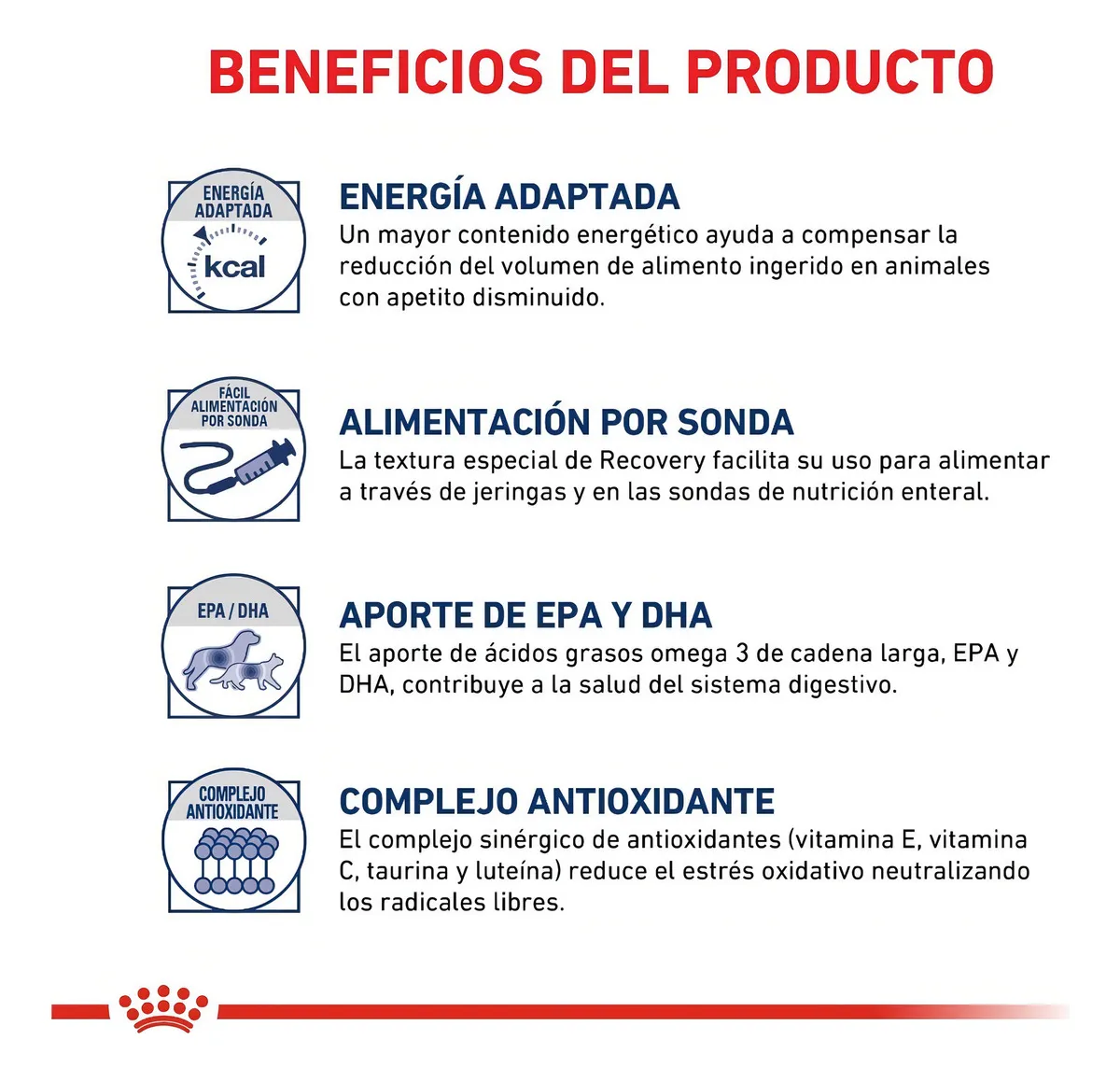 Infográfico de benefícios veterinários