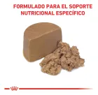 Royal Canin Recovery: alimento úmido marrom claro em bloco e desfiado.
