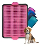 Sanitário Canino rosa perfurado, beagle sentado e tapetes coloridos