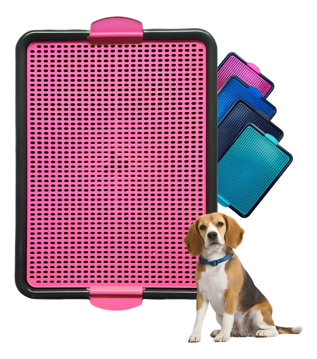 Sanitário Canino rosa perfurado, beagle sentado e tapetes coloridos