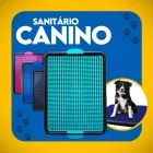 Sanitário canino com grades coloridas (rosa, azul, turquesa) e um cachorro Border Collie.