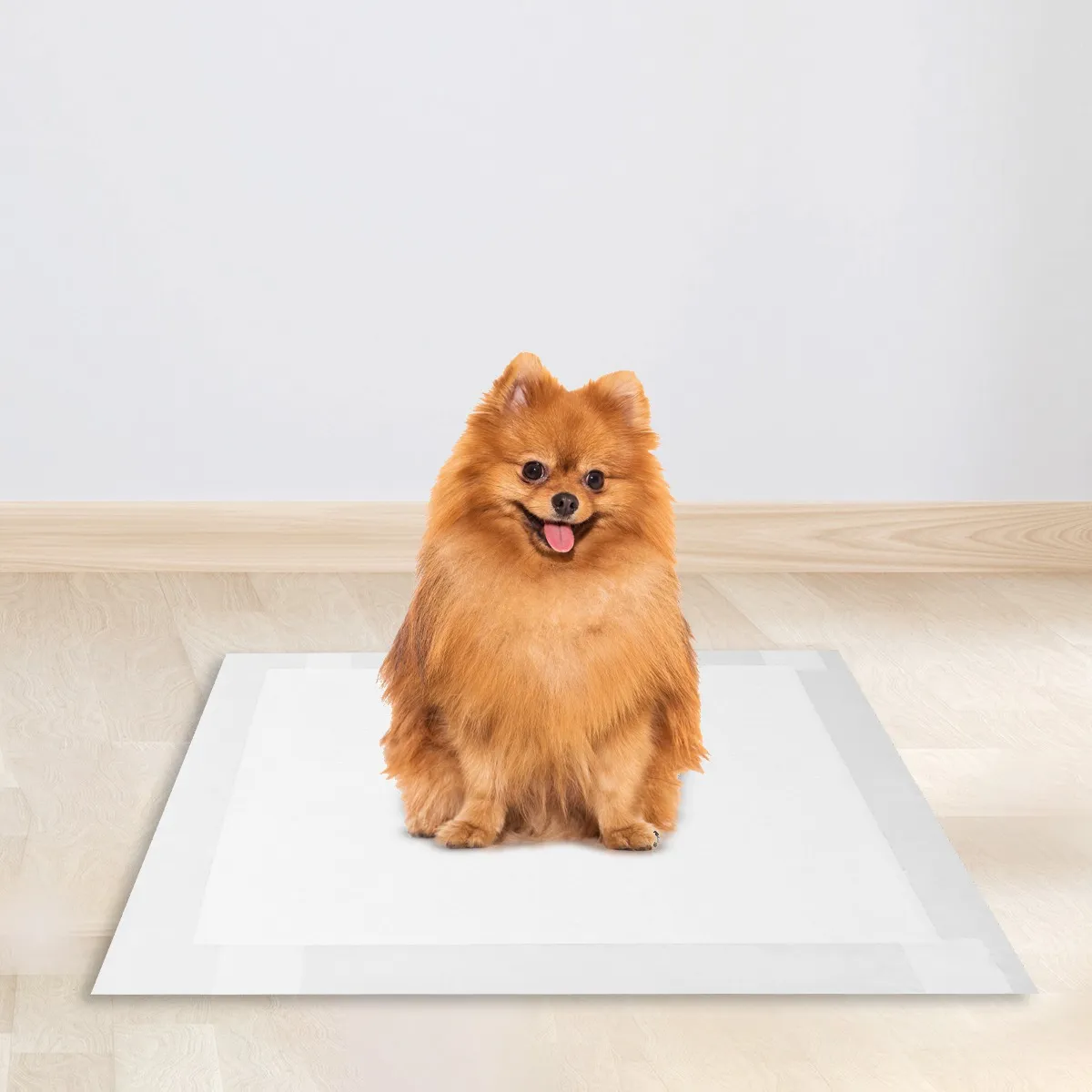 Tapete aberto no chão