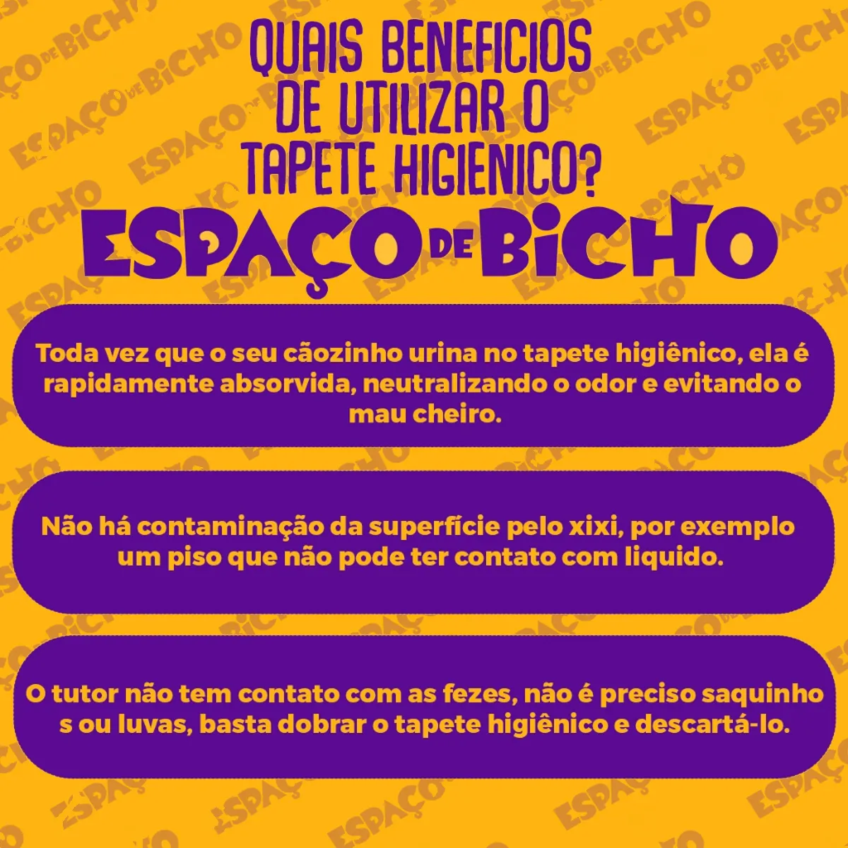 Ilustração das 6 camadas